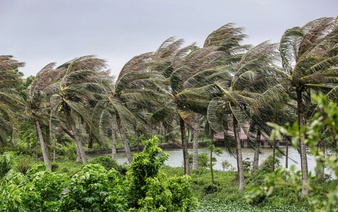Tropical depression or storm may form in East Vietnam Sea early November