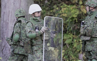 196 people attacked by wild bears in Japan in April-October