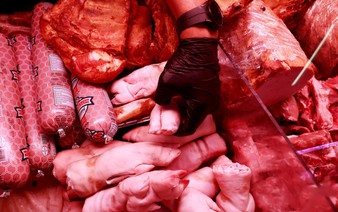 UK to hold fresh pork, other affected Spanish products at border amid African swine fever outbreak