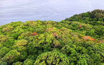 Vietnam’s Con Dao National Park added to IUCN Green List