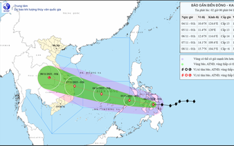 Storm Kalmaegi intensifies rapidly, heads toward central Vietnam