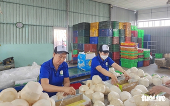 Vietnam’s coconut industry targets greener, low-emission growth