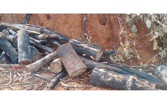 Investigation underway after nearly 95ha of forest destroyed in central Vietnam