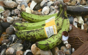 UK public urged to keep eyes peeled for washed-up bananas
