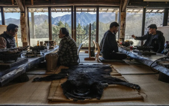 From predator to plate: Japan bear crisis sparks culinary craze
