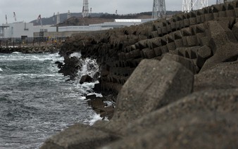 Japan's TEPCO to partially restart world's biggest nuclear power plant on January 20