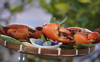 Unique Ca Mau crab dessert blends sweet and savory flavors