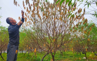 Breakfast @ Tuoi Tre News — December 6