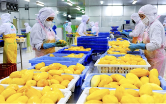 Vietnam’s 11-month exports hit $430bn, trade surplus tops $20bn