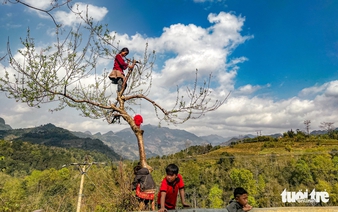 Vietnam’s Dong Van Karst Plateau wins top regional cultural destination award