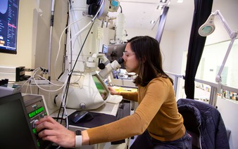 Scientists produce painstaking wiring diagram of a mouse's brain