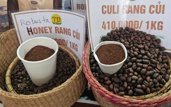 Vietnam’s coffee export prices soar 74 percent in Q1