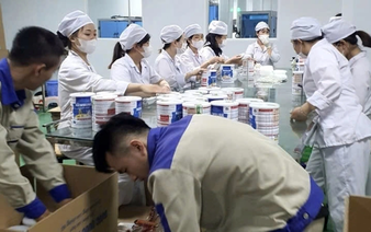Vietnam recalls 12 counterfeit milk powder products