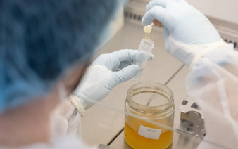 Austria trials DNA testing to uncover honey fraud