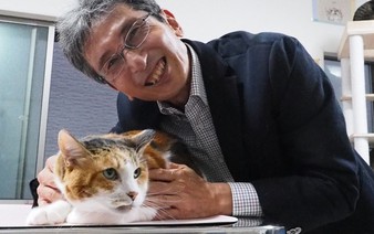 Japan team finds gene determining calico cat color patterns