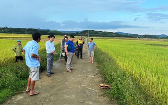 Septuagenarian killed by lightning strike while returning from rice field in north-central Vietnam