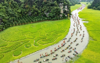 Vietnam's Ninh Binh kicks off 2025 Tourism Week amid golden rice harvest