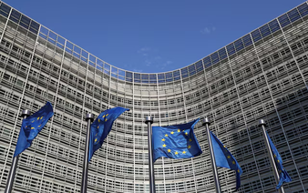 Eleven countries demand EU weakens deforestation law further, document shows