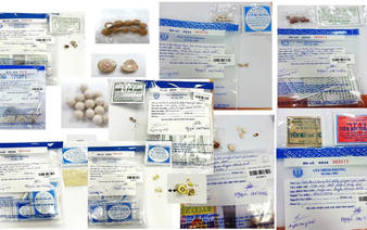 Counterfeit crisis: From medicine to food products, fake goods threaten public health in Vietnam