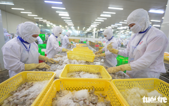 Vietnamese exporters accelerate shipments to US ahead of new tariffs