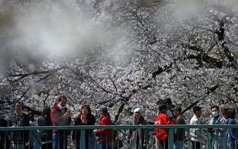 LDP group to seek end to tax exemption for foreign visitors
