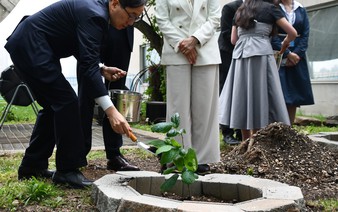 Saplings from A-bombed tree planted at UN headquarters