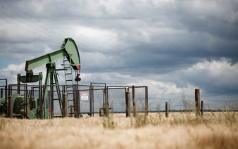 Oil steadies after falling to four-year lows in previous session