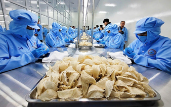 China requires aluminum residue testing for bird’s nest shipments from Vietnam