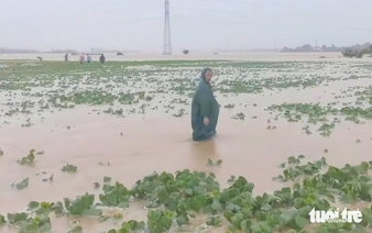 Storm Wutip causes flooding to over 700 homes, vast farmland in Vietnam’s Quang Nam