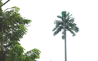 Da Nang installs over 1,800 eco-friendly BTS poles