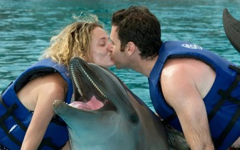 Mexican lawmakers vote to ban dolphin shows