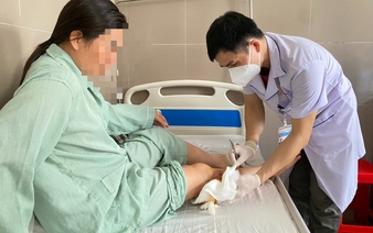 Northern Vietnam hospital reports sharp rise in dog bite injuries