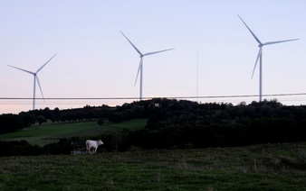 EU plans to add carbon credits to new climate goal, document shows