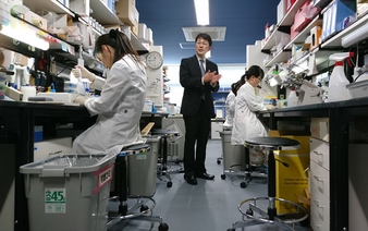 Japan starts final-stage trial for iPS drug for Alzheimer's