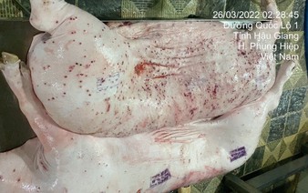 Police urged to probe into social media claims of diseased meat sold by C.P. Vietnam