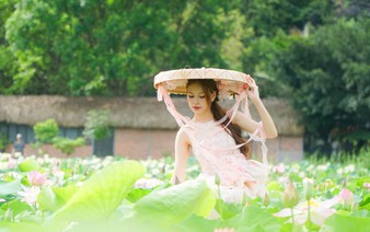 Be sure to take in Ninh Binh’s finest lotus pond in bloom while at Mua Cave