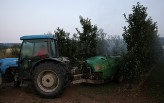 Europe's illegal pesticide trade surges as farmers cut costs