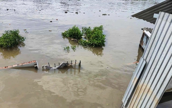 Night-time land collapse plunges 5 houses into river in southern Vietnam
