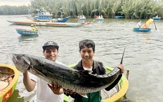 Between passion and livelihood, Vietnam’s sea anglers cast their lines