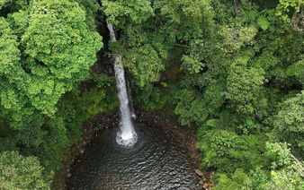 Vietnam discovers 2 waterfalls with tourism potential in central forest