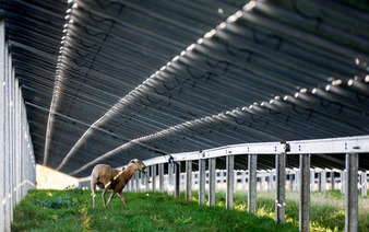 EU solar energy rollout slows for first time in decade as subsidies cut