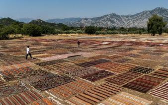 Thousands of carpets sunbathe at Turkish resort