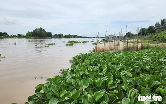 Mekong River flow into Vietnam’s Mekong Delta expected to rise 10–30% in July: forecaster