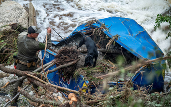 Death toll from Texas floods reaches at least 43; dozens still missing