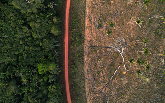 Illegal loggers profit from Brazil’s carbon credit projects