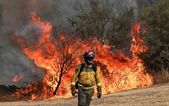 'Cooked alive': Europe's wildfires hit tourism spots and forests