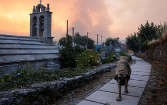 Spain battles 20 major wildfires amid scorching heat, deploys more troops