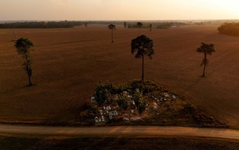 Brazil regulator suspends soy moratorium, orders probe of exporters