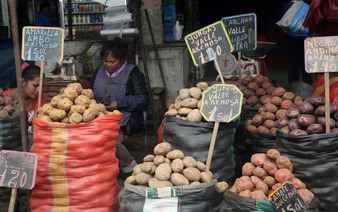 Evolutionary origins of the potato revealed - and a tomato was involved