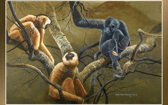 In Vietnam, Dao Van Hoang turns art into voice for nature